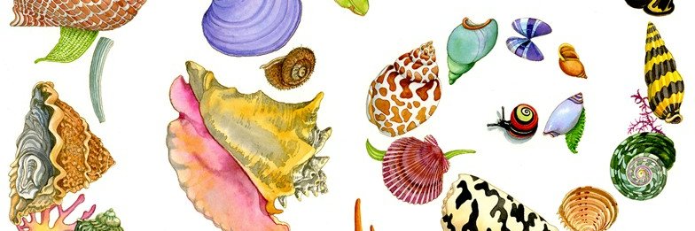 Dianna Hutts Aston banner