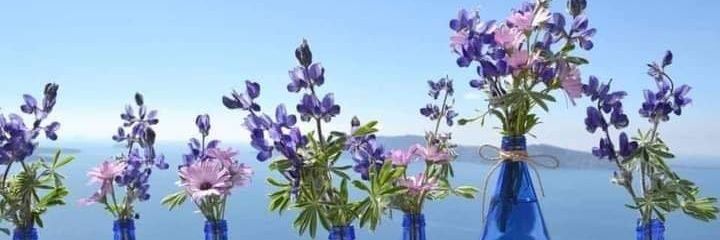 Hagargogo55's profile banner image