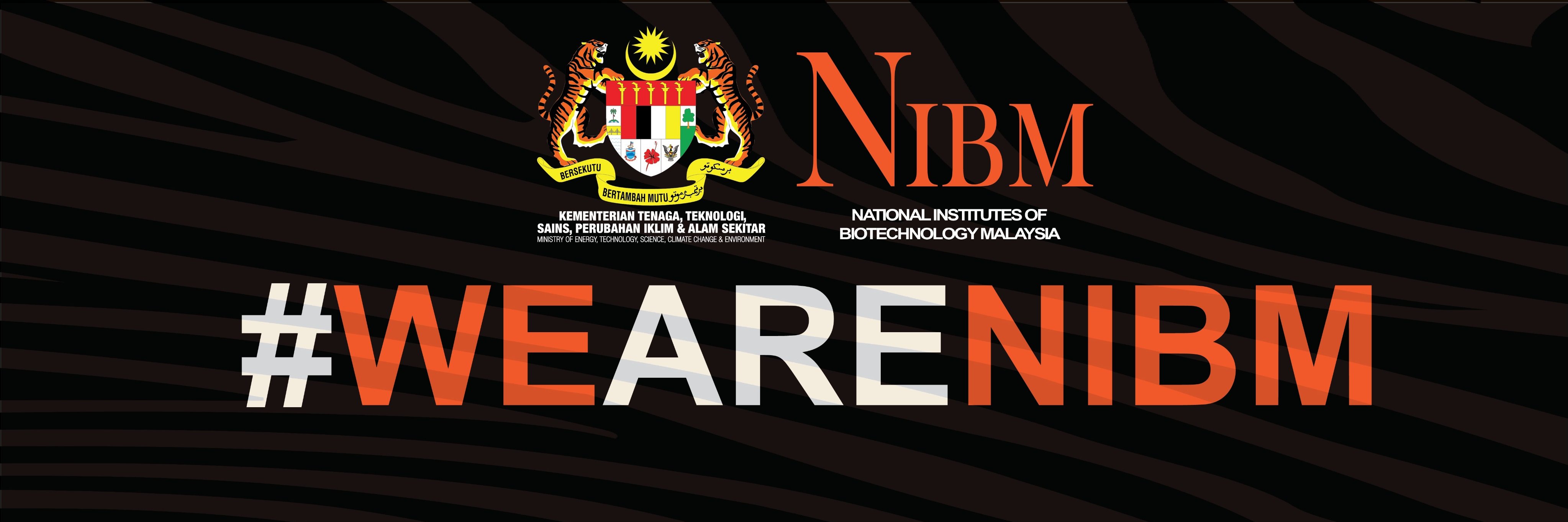 1NIBM's profile banner image