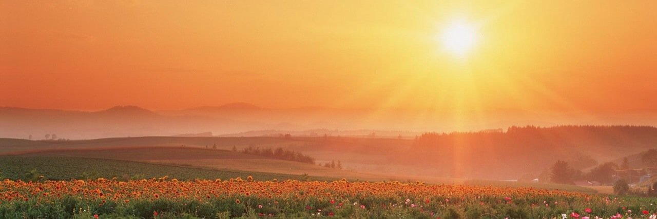 Tiffanyskl's profile banner image