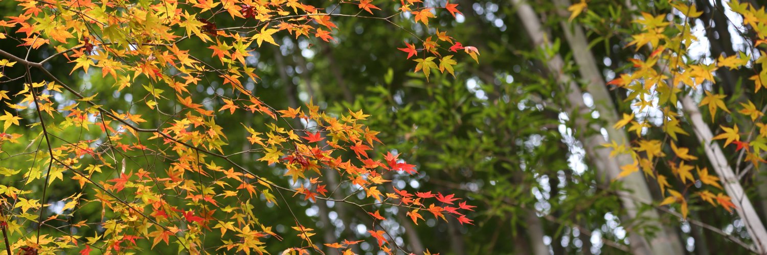 Kaylie 🔳 💙💛 banner