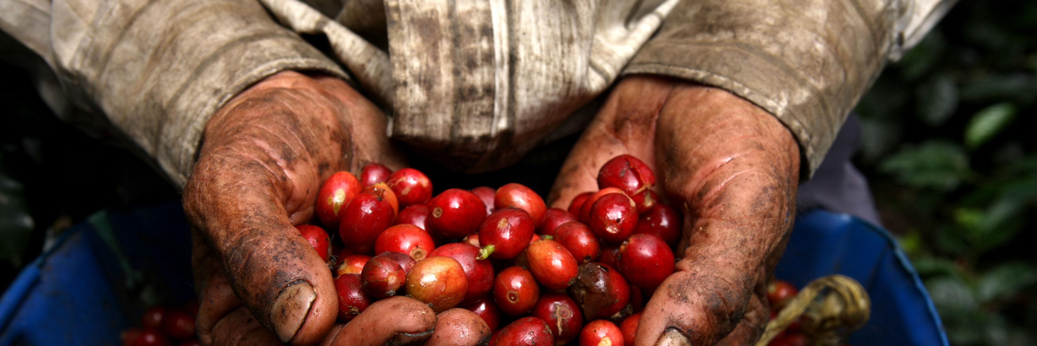 ArandoFuturo's profile banner image