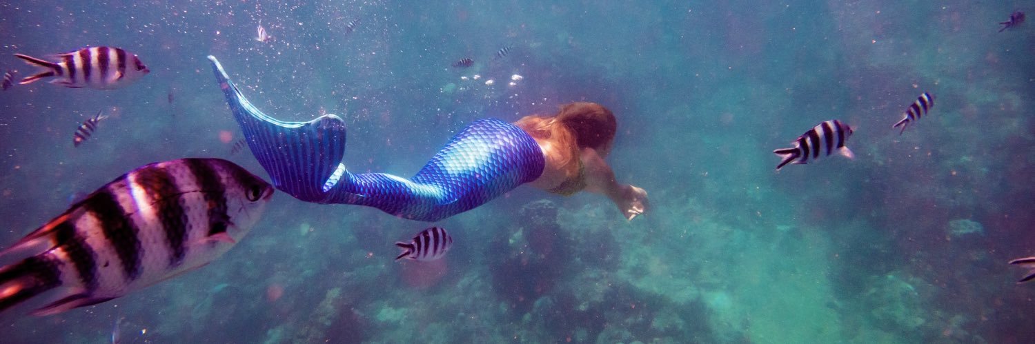 MermaidTheWorld's profile banner image