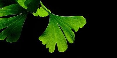 LinguaThink's profile banner image