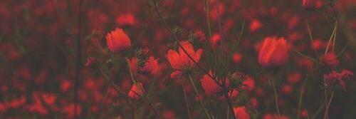 JadeElizabeth0's profile banner image