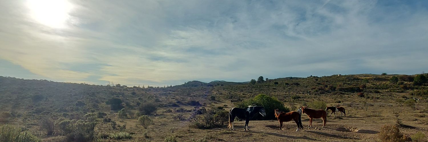 JuanchyD4's profile banner image