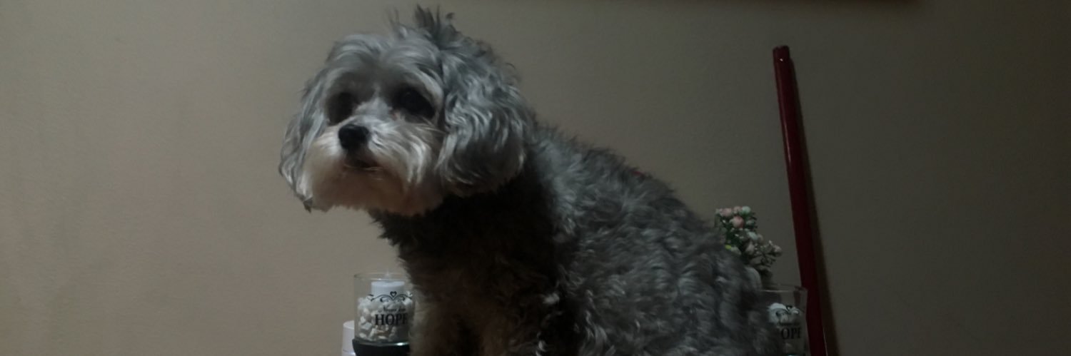 Chocospitter's profile banner image