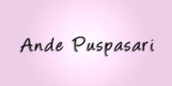 andepuspasari's profile banner image