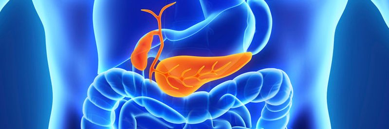 EndocrinoJour's profile banner image