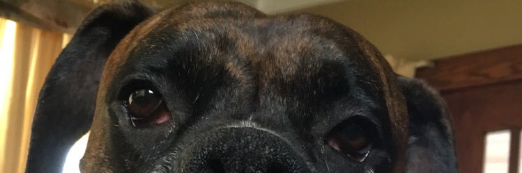 Lukerod06's profile banner image