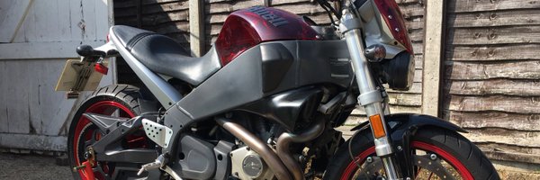 WAVBEARD Profile Banner