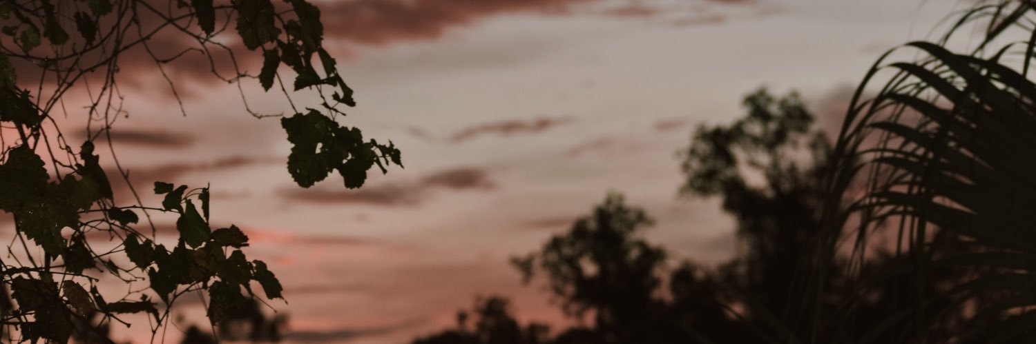 _its_Demi_'s profile banner image