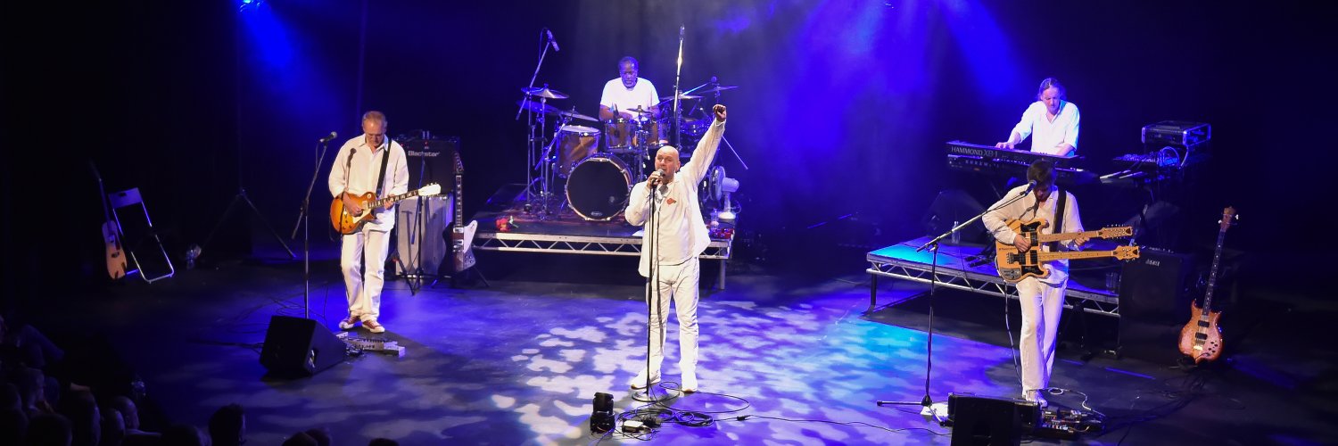 Piers de Lavison banner