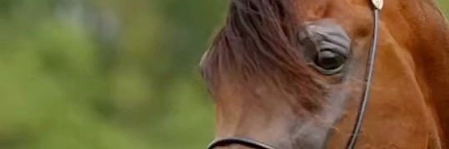 999space999's profile banner image