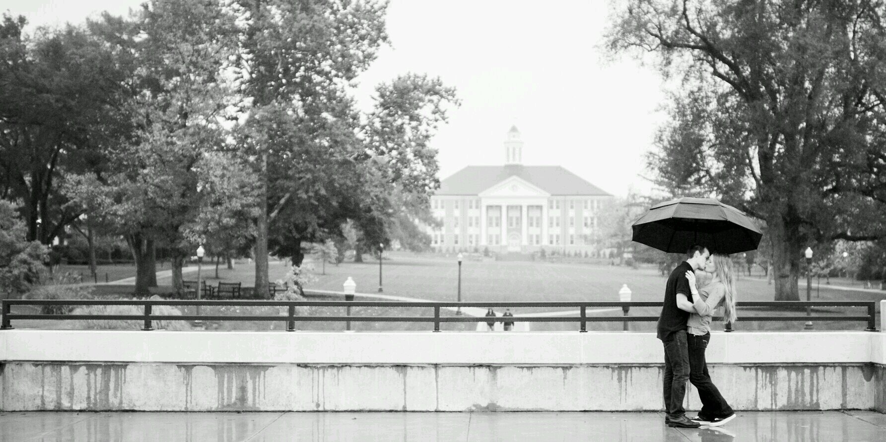 KayeMargaret's profile banner image