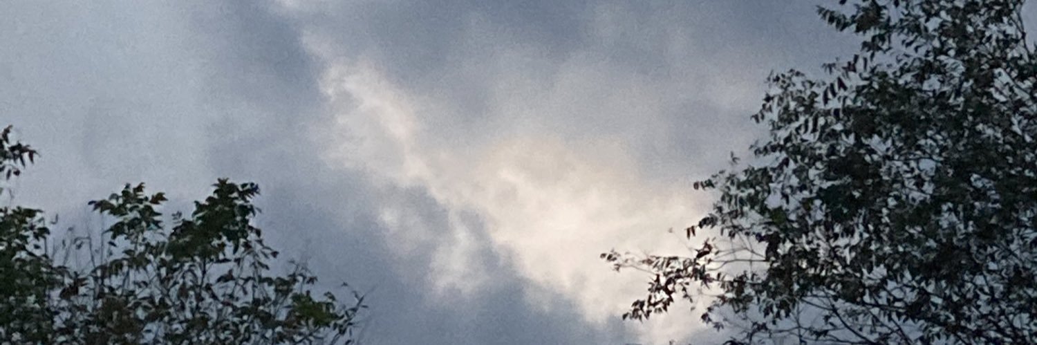 t1rres's profile banner image