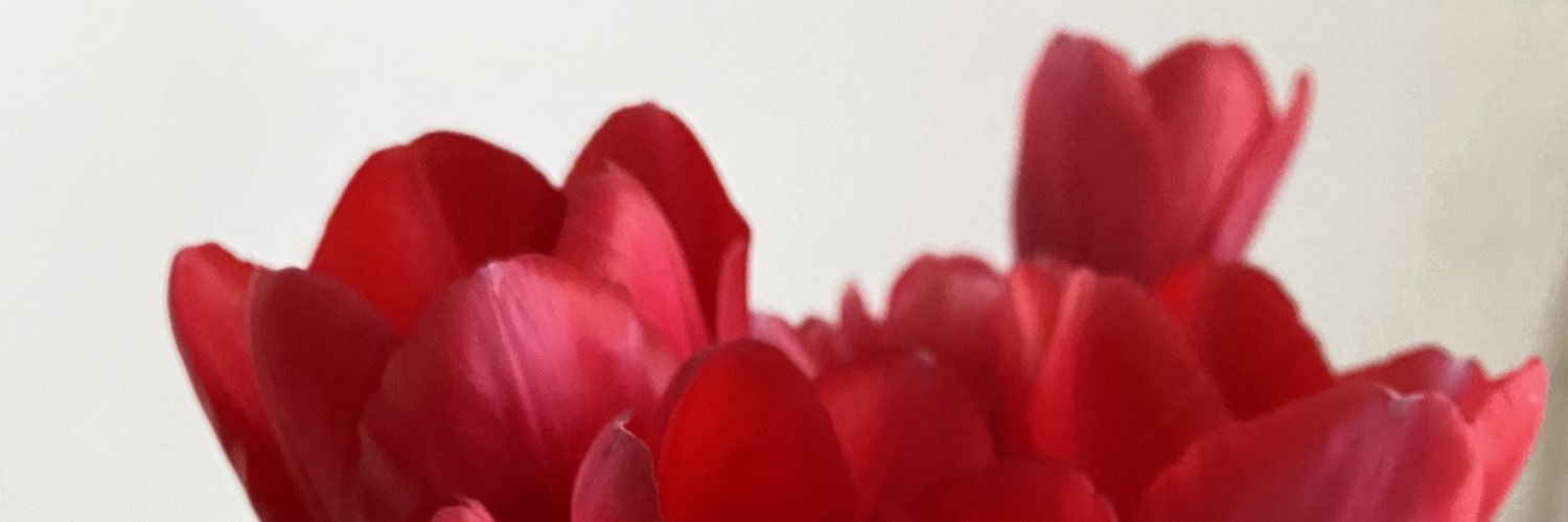CarlufeAmodeo's profile banner image