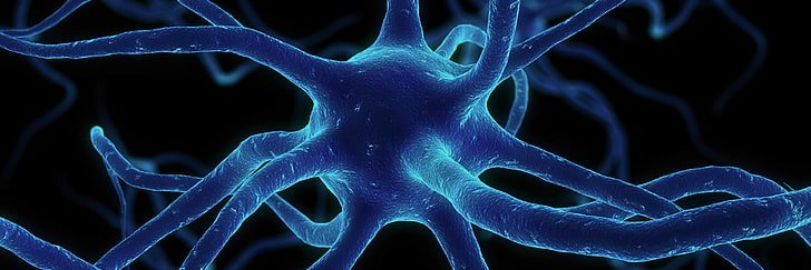 Journal of Clinical and Cellular Immunology banner