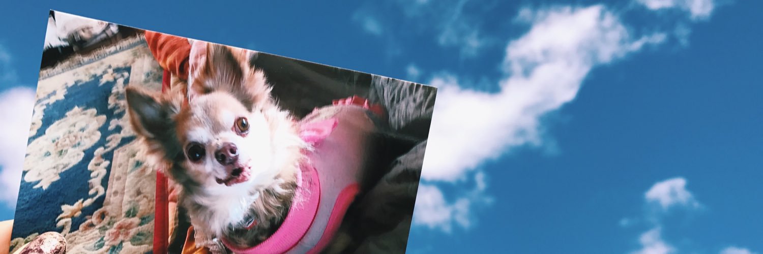 55Nt's profile banner image