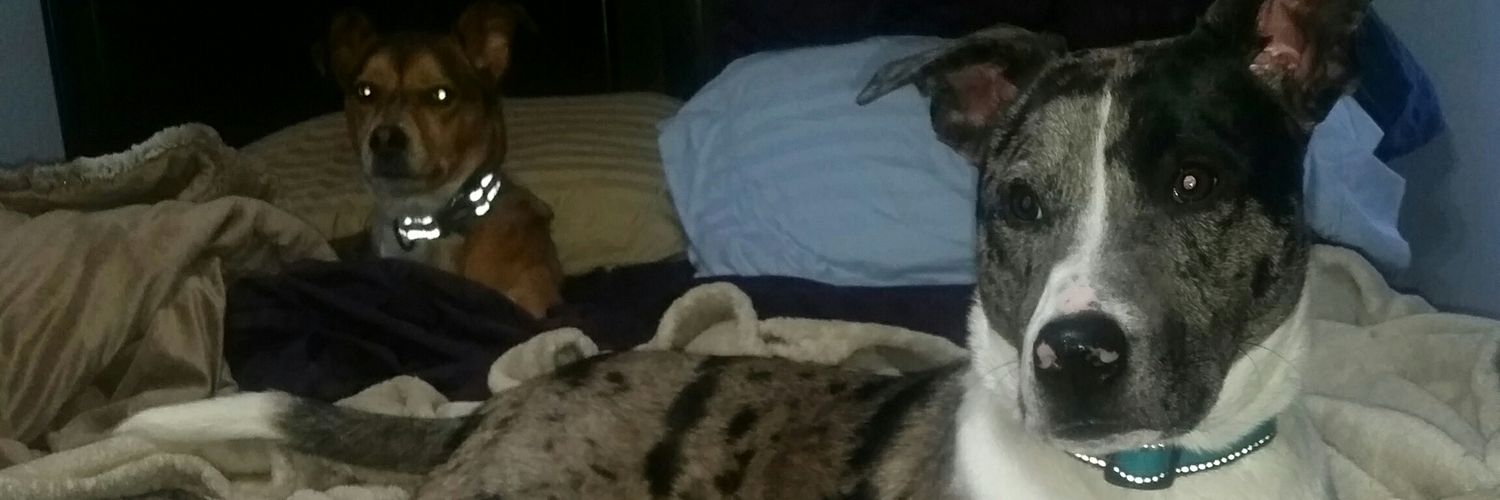 Cait_Goz's profile banner image
