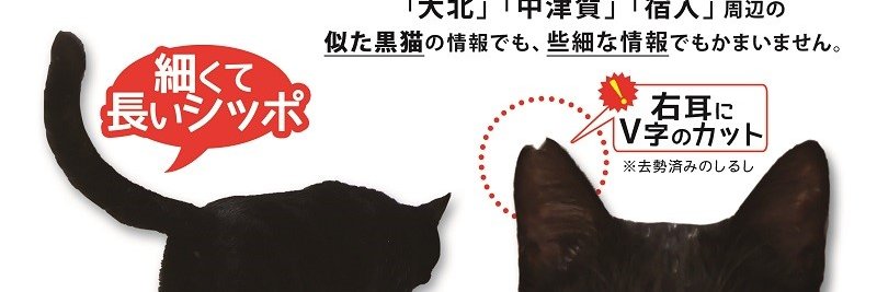 befusanku's profile banner image