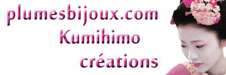 PlumesBijoux's profile banner image
