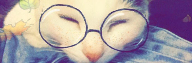 i_talienne's profile banner image
