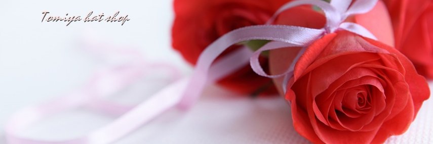 tomiya_hat's profile banner image