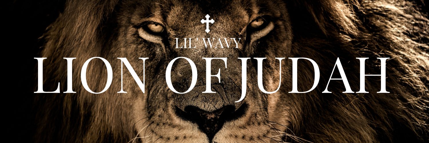 lilwavy100's profile banner image
