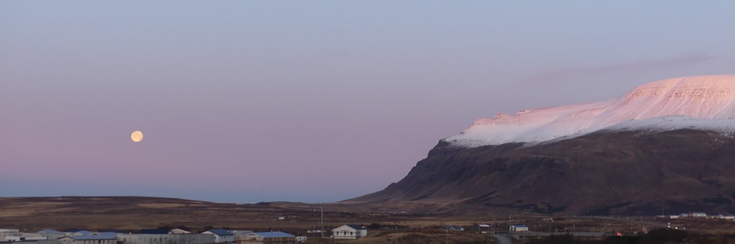 Karyn Miller-Medzon banner