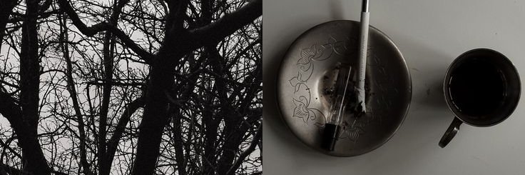 Nordeheim's profile banner image