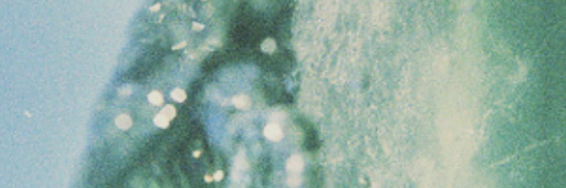 Nmk97's profile banner image
