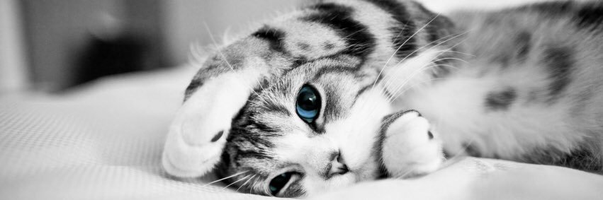 MyNameIsJony9's profile banner image