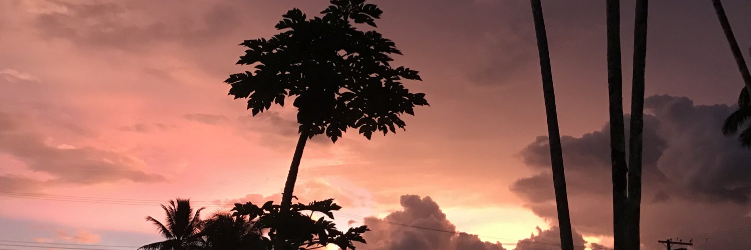 ThairesO's profile banner image