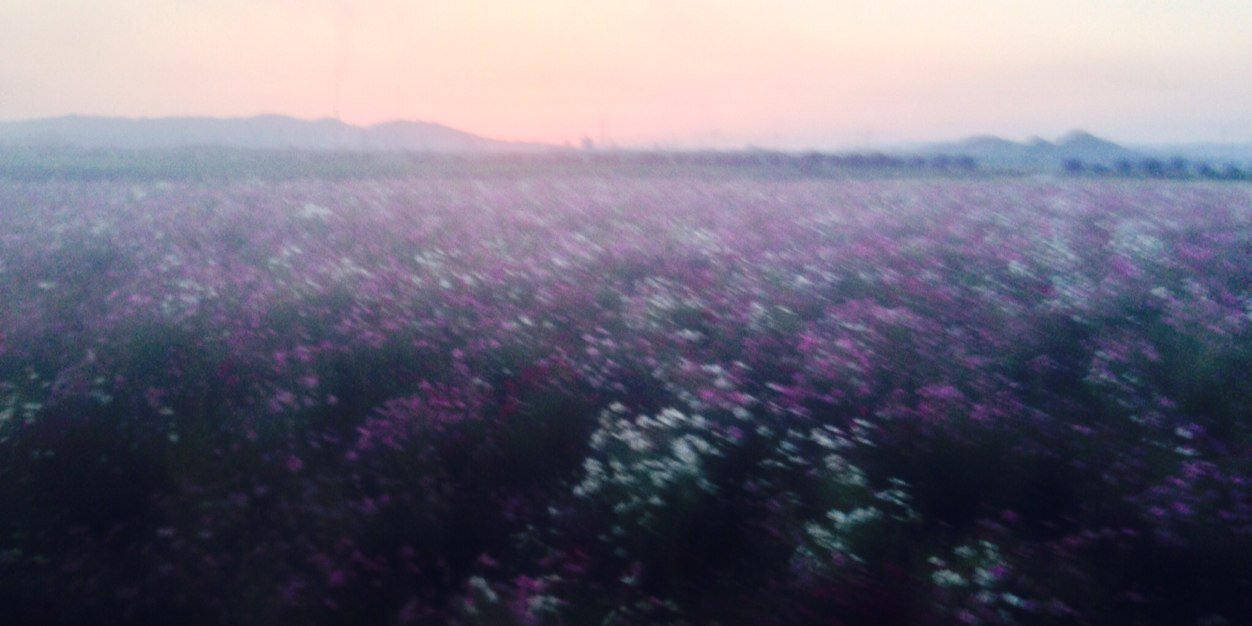 naotrick's profile banner image