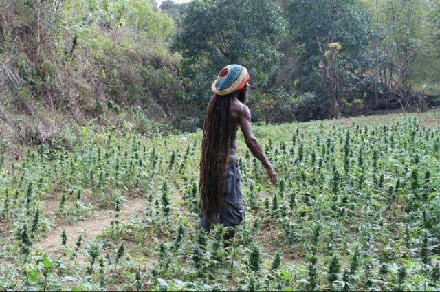 arogan cileungsi_DM banner