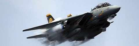 beluga03's profile banner image