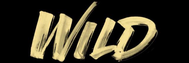 chlooe_fellows's profile banner image