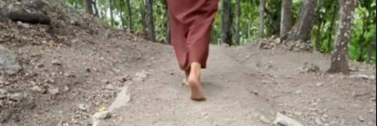 thai forest monk banner