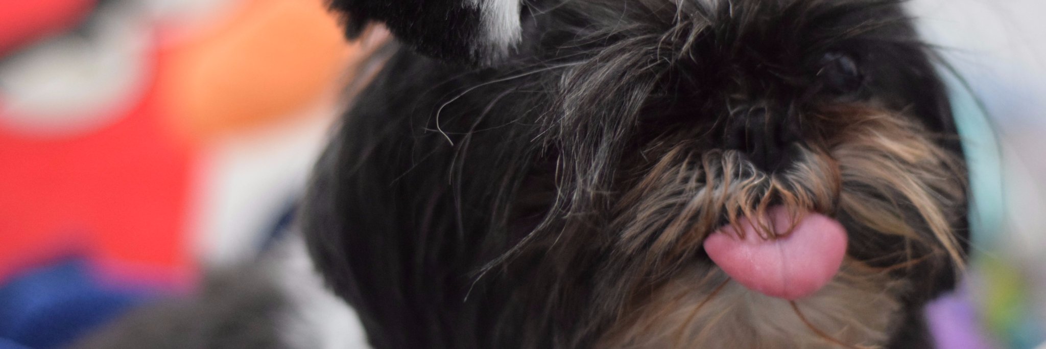 rubilina's profile banner image