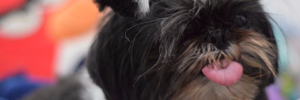 rubilina Profile Banner