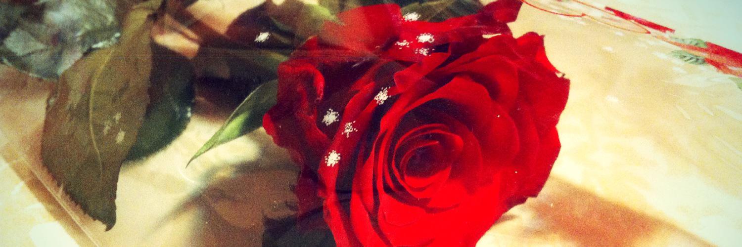 twmilitello's profile banner image