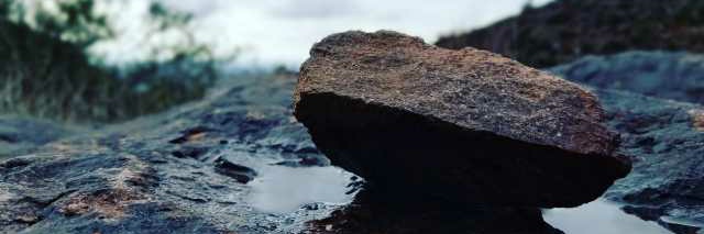 B. Edward Goolsby banner