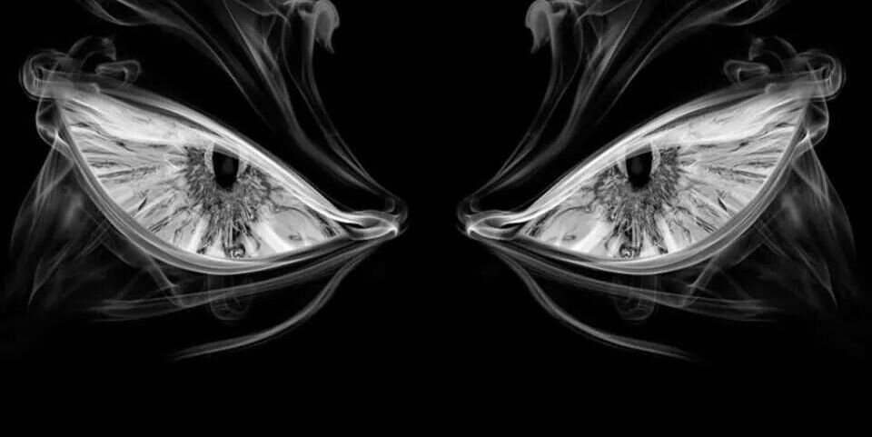 libay992's profile banner image