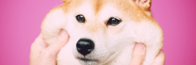 n_sb8's profile banner image