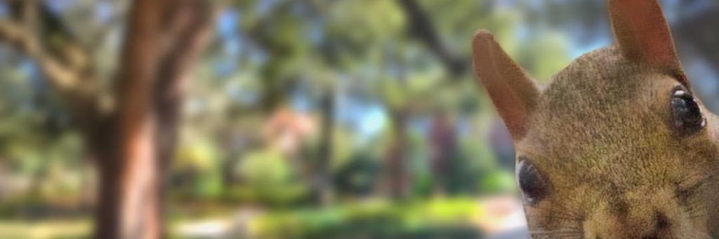 LauraLeighC's profile banner image
