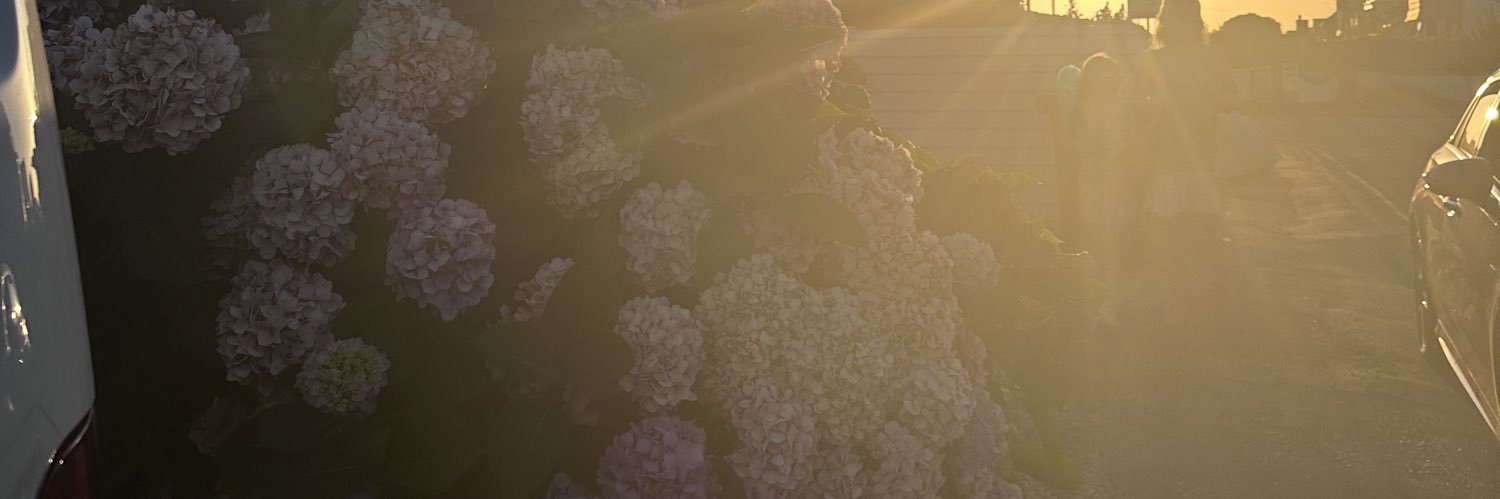 sfdes07's profile banner image