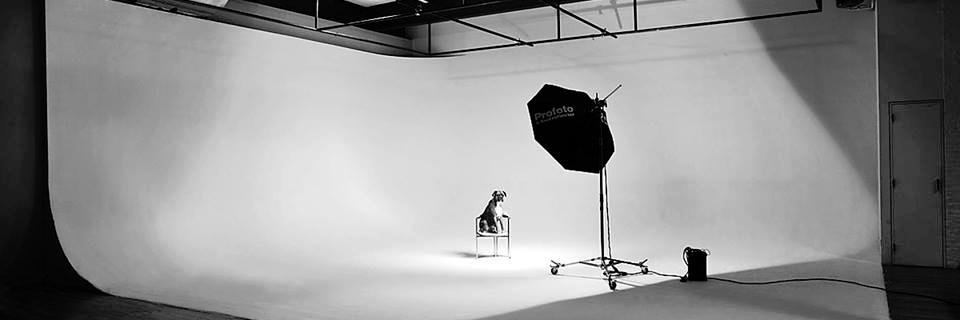 yorkstudios's profile banner image
