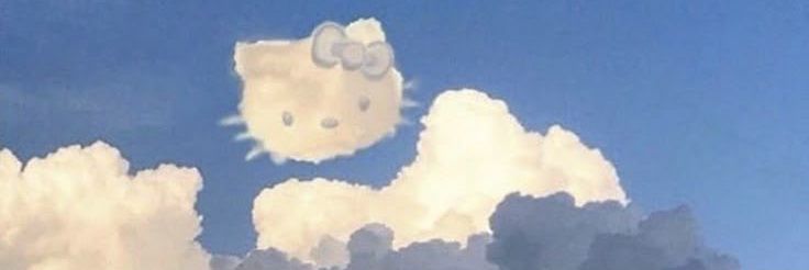 sunflowersonsat's profile banner image
