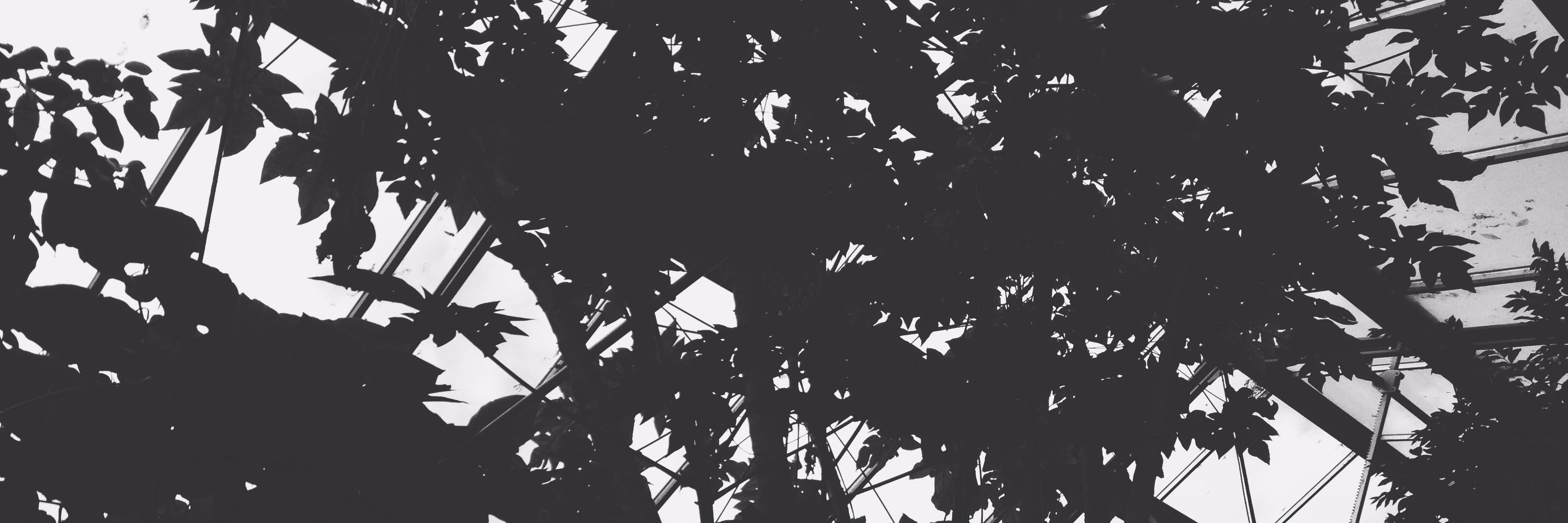 majlowski's profile banner image